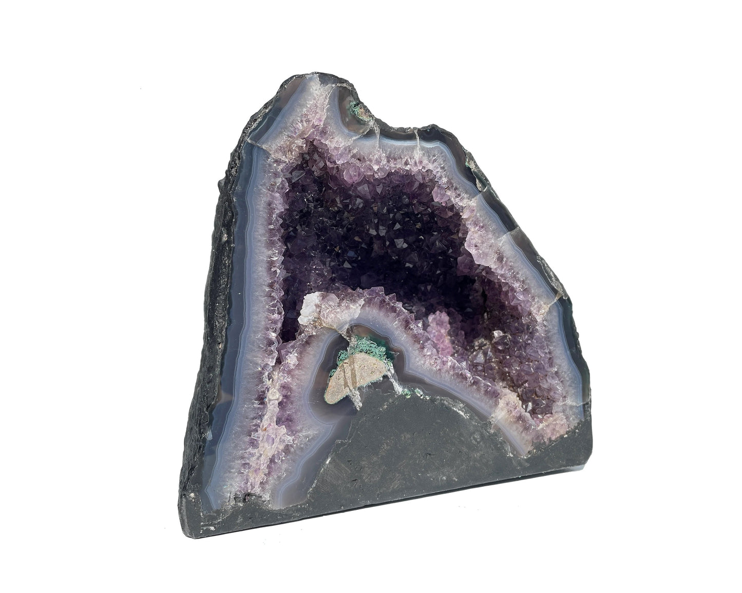 Seitenansicht: einzelne Amethyst Druse mit violetten Kristallen auf weißem Hintergrund