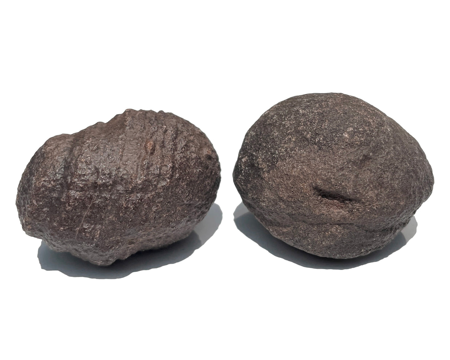 Moqui Marbles Paar - treuer Liebling - Shaman Stones