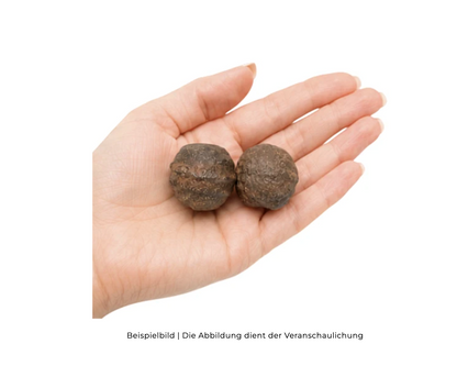 Moqui Marbles auf der Hand - Größenvergleich