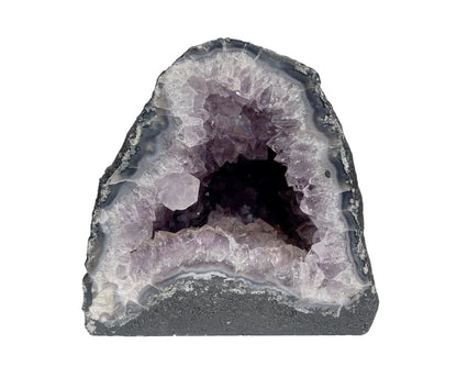 Vorderansicht einer Amethyst Druse auf weißem Hintergrund