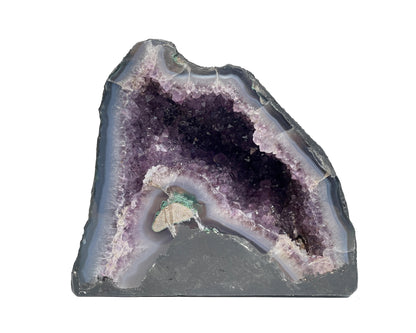 Vorderansicht einer Amethyst Druse auf weißem Hintergrund