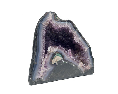 Seitenansicht: einzelne Amethyst Druse mit violetten Kristallen auf weißem Hintergrund
