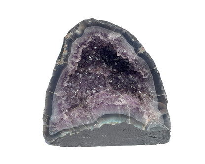 Vorderansicht einer Amethyst Druse auf weißem Hintergrund
