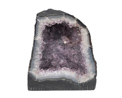 Vorderansicht einer Amethyst Druse mit violetten Kristallen auf weißem Hintergrund