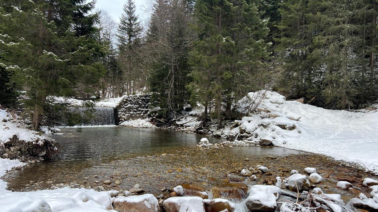 Winterlandschaft Bach im Wald 