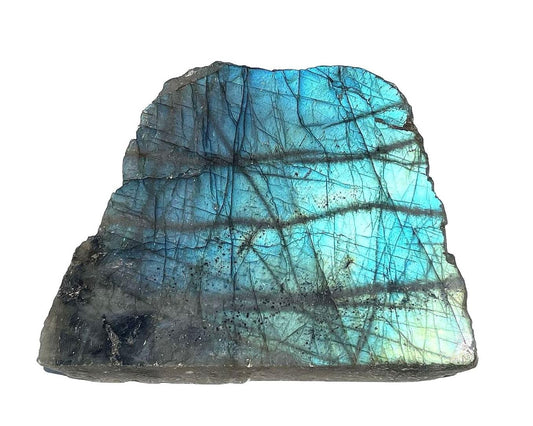 Labradorit Anschliff auf weißem Hintergrund