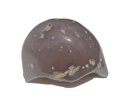 Vorderansicht eines Wasserachates auf weißem Hintergrund