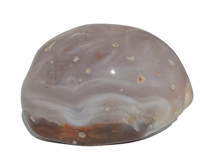 Vorderansicht eines Wasserachates auf weißem Hintergrund