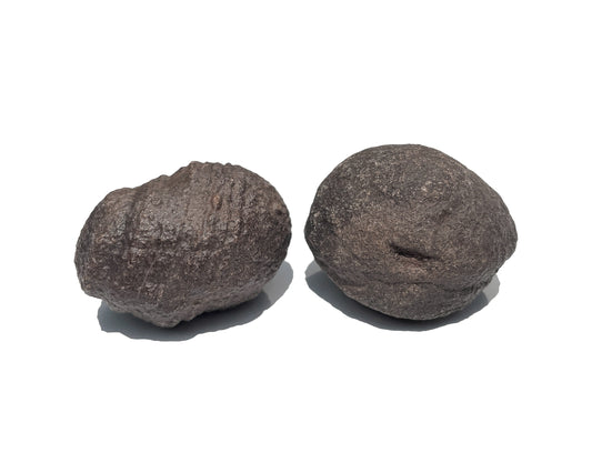 Moqui Marbles in verschiedenen Formen auf weißem Hintergrund