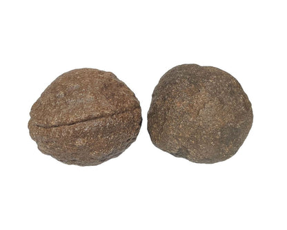 Moqui Marbles paarweise nebeneinander auf weißem Hintergrund