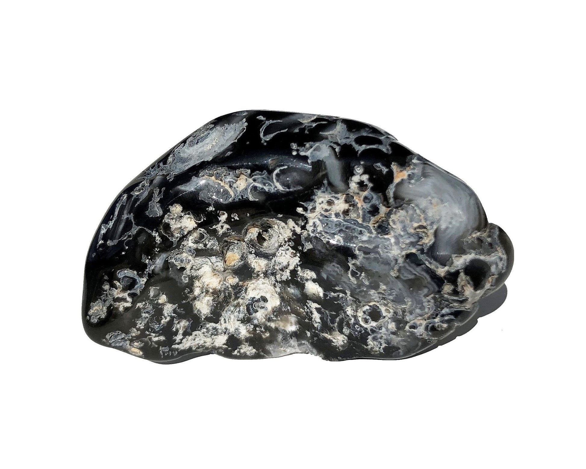 Vorderansicht eines Wasserachates auf weißem Hintergrund