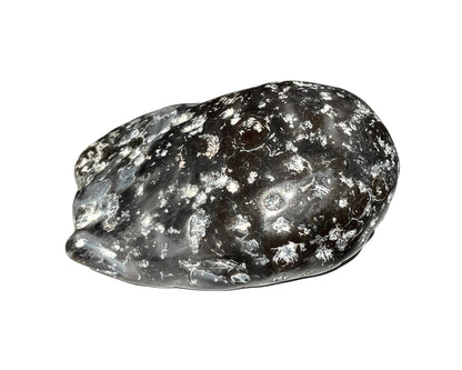 Ansicht von vorn: Wasserachat auf weißem Hintergrund