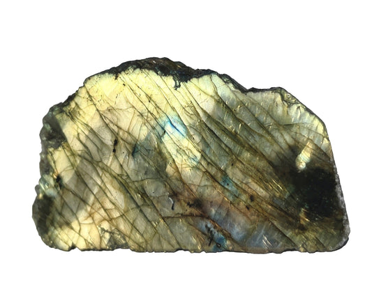 Labradorit Anschliff auf weißem Hintergrund