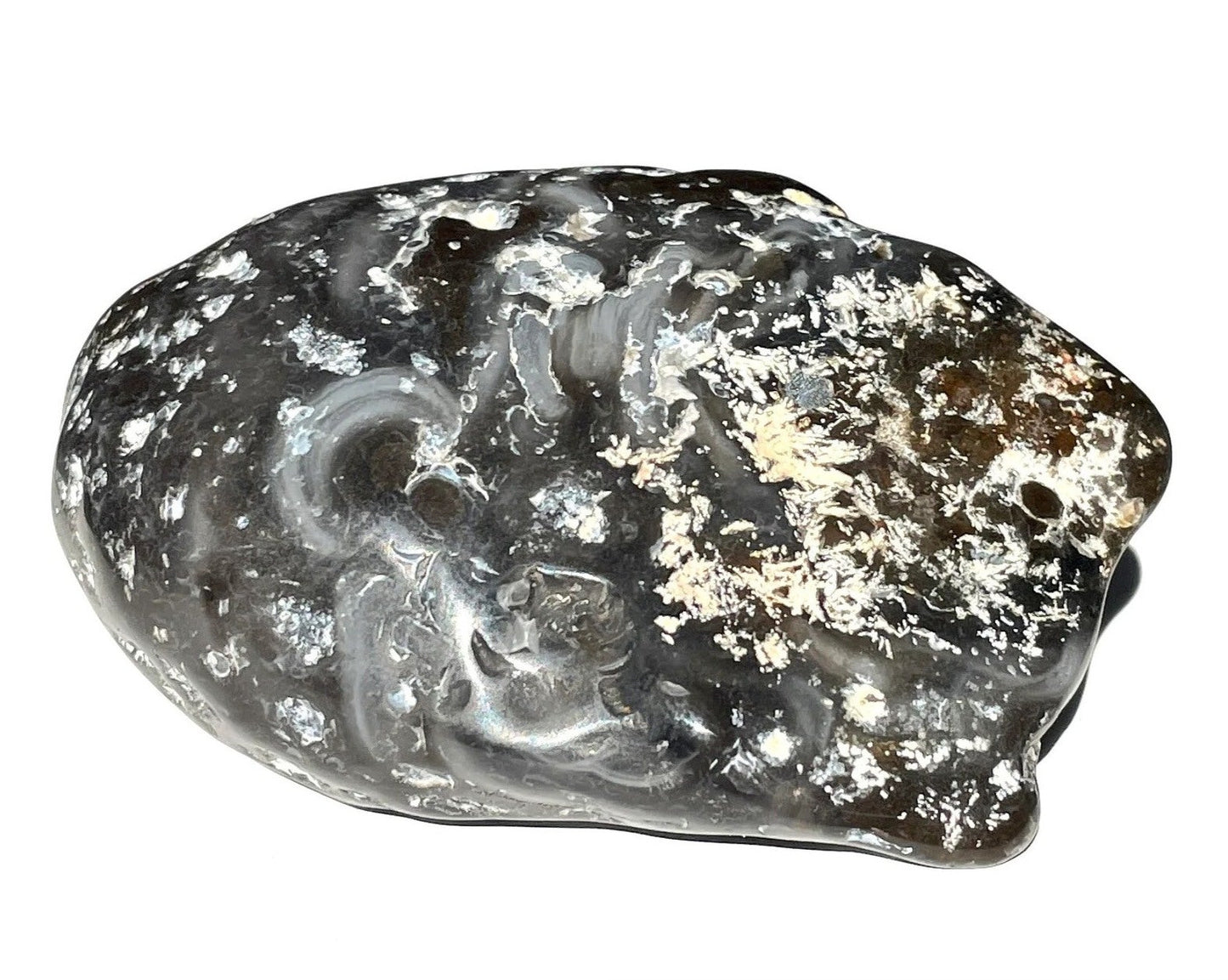 Wasserachat - Achat Geode gefüllt mit Urwasser - Enhydros