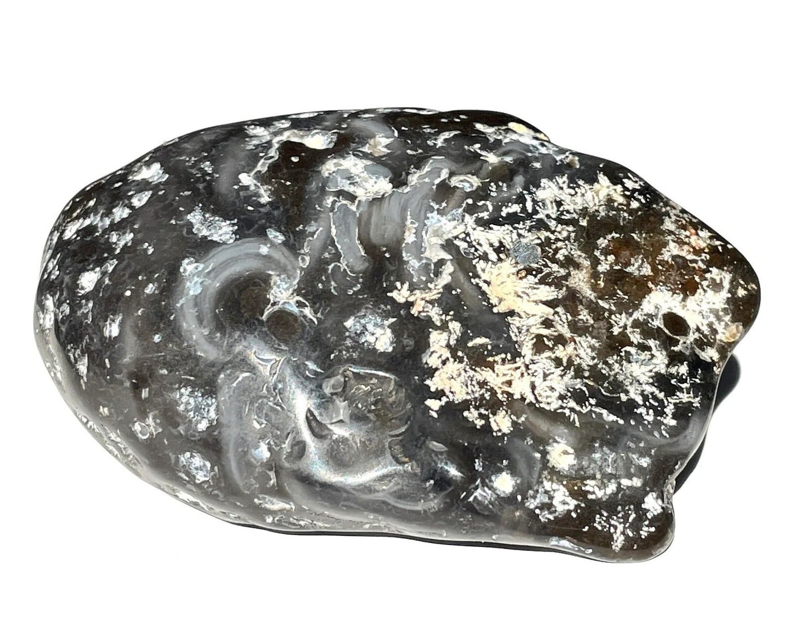 Wasserachat - Achat Geode gefüllt mit Urwasser - Enhydros