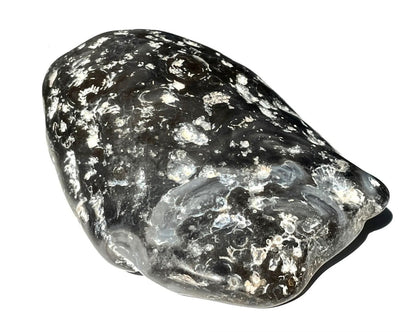 Wasserachat - Achat Geode gefüllt mit Urwasser - Enhydros